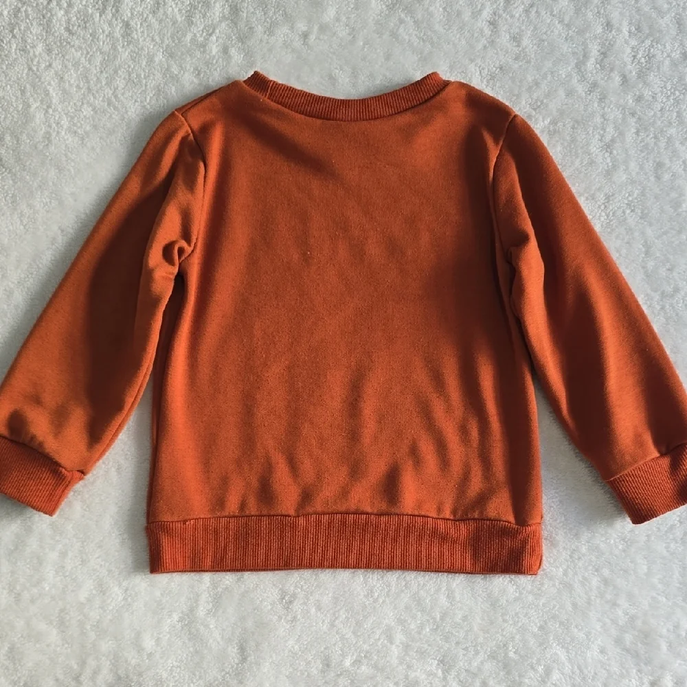 Orange Sweatshirt and Pants Set
